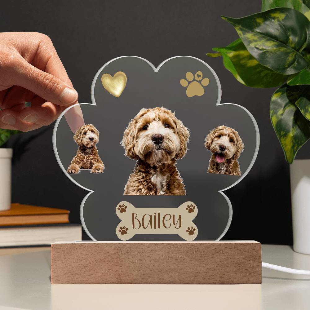 Personalized Pet Paw Print Plaque, Perfect Gift For Dog Owner, Custom Led Lighted Dog Pet Plaque, Night Light with Name