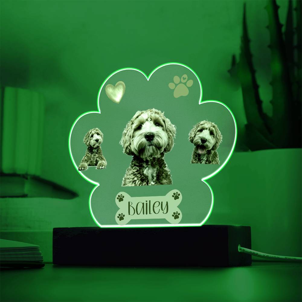 Personalized Pet Paw Print Plaque, Perfect Gift For Dog Owner, Custom Led Lighted Dog Pet Plaque, Night Light with Name