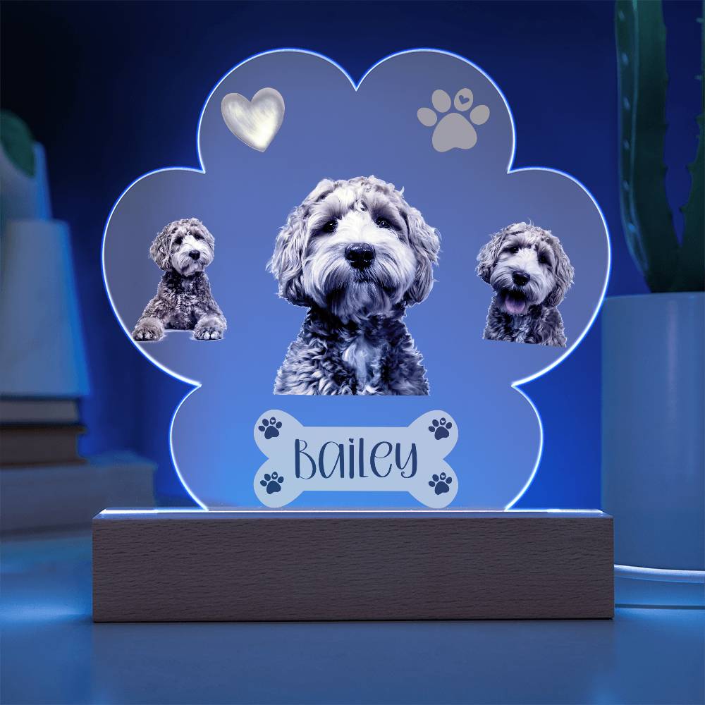 Personalized Pet Paw Print Plaque, Perfect Gift For Dog Owner, Custom Led Lighted Dog Pet Plaque, Night Light with Name