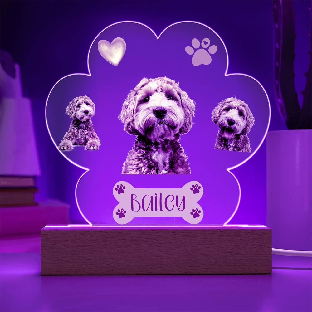 Personalized Pet Paw Print Plaque, Perfect Gift For Dog Owner, Custom Led Lighted Dog Pet Plaque, Night Light with Name