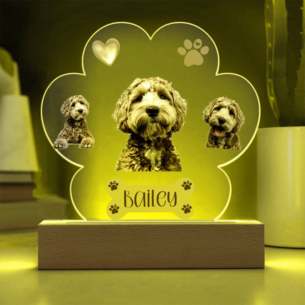 Personalized Pet Paw Print Plaque, Perfect Gift For Dog Owner, Custom Led Lighted Dog Pet Plaque, Night Light with Name