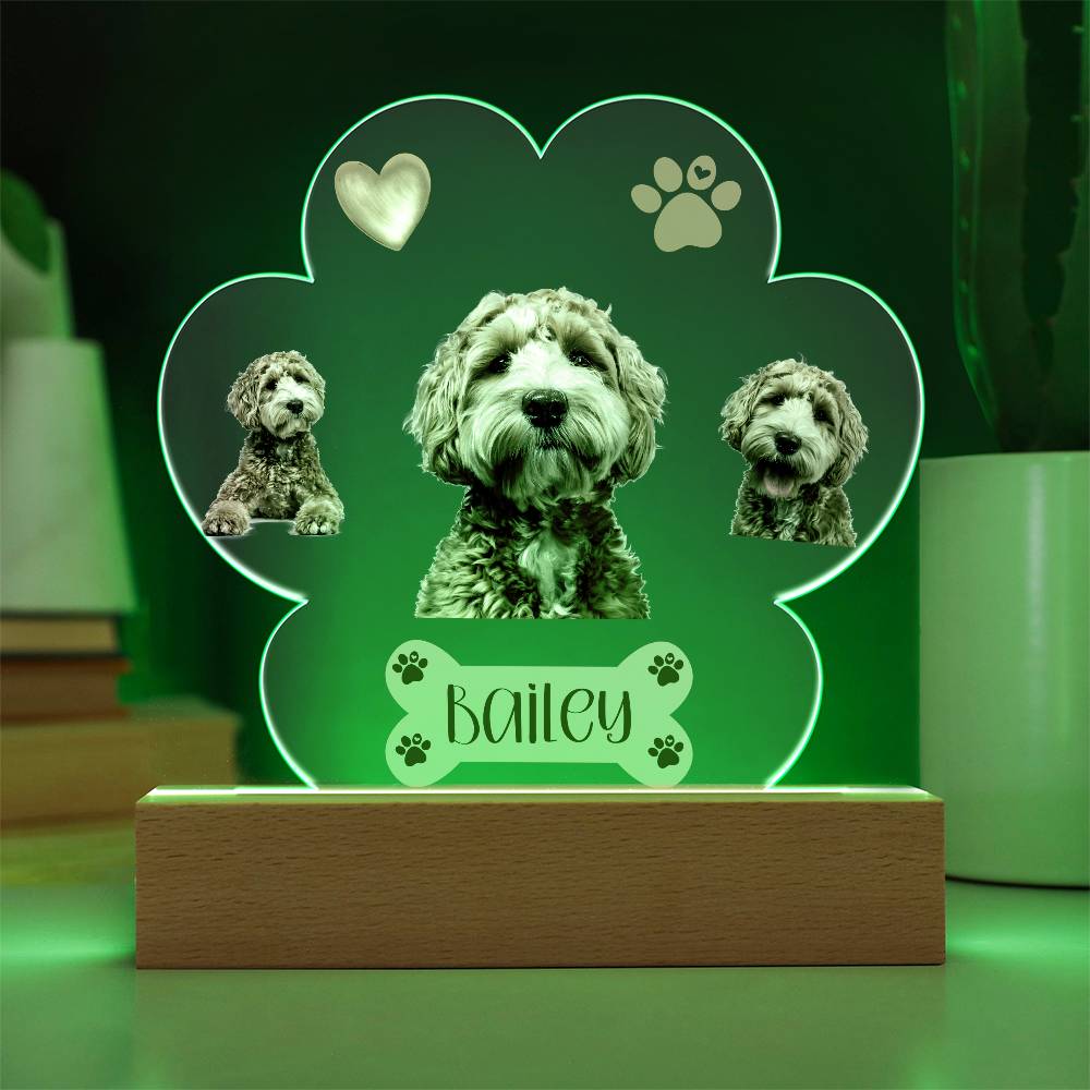 Personalized Pet Paw Print Plaque, Perfect Gift For Dog Owner, Custom Led Lighted Dog Pet Plaque, Night Light with Name