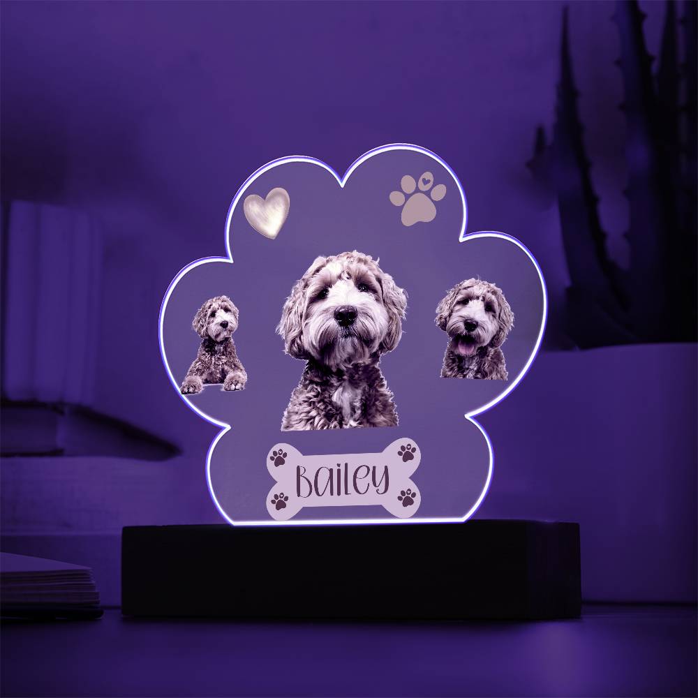 Personalized Pet Paw Print Plaque, Perfect Gift For Dog Owner, Custom Led Lighted Dog Pet Plaque, Night Light with Name